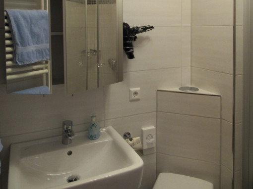 Room with shower and toilet