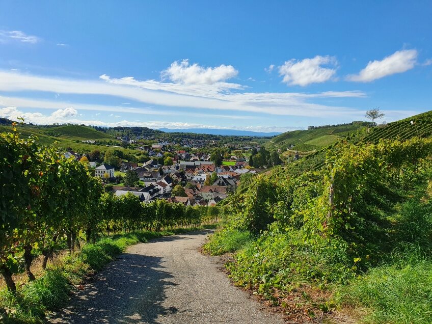 View to the valley of Durbach